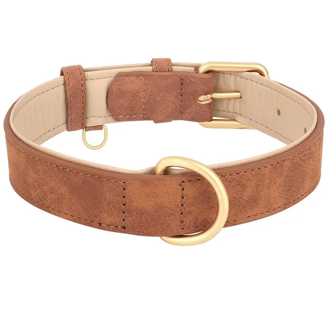 Durable Leather Dog Collar with Soft Padding