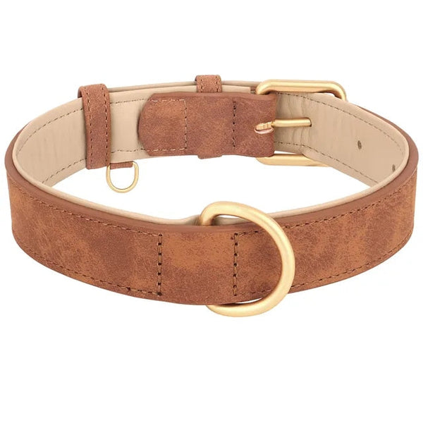 Durable Leather Dog Collar with Soft Padding