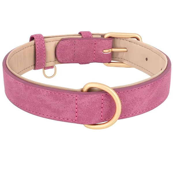 Durable Leather Dog Collar with Soft Padding